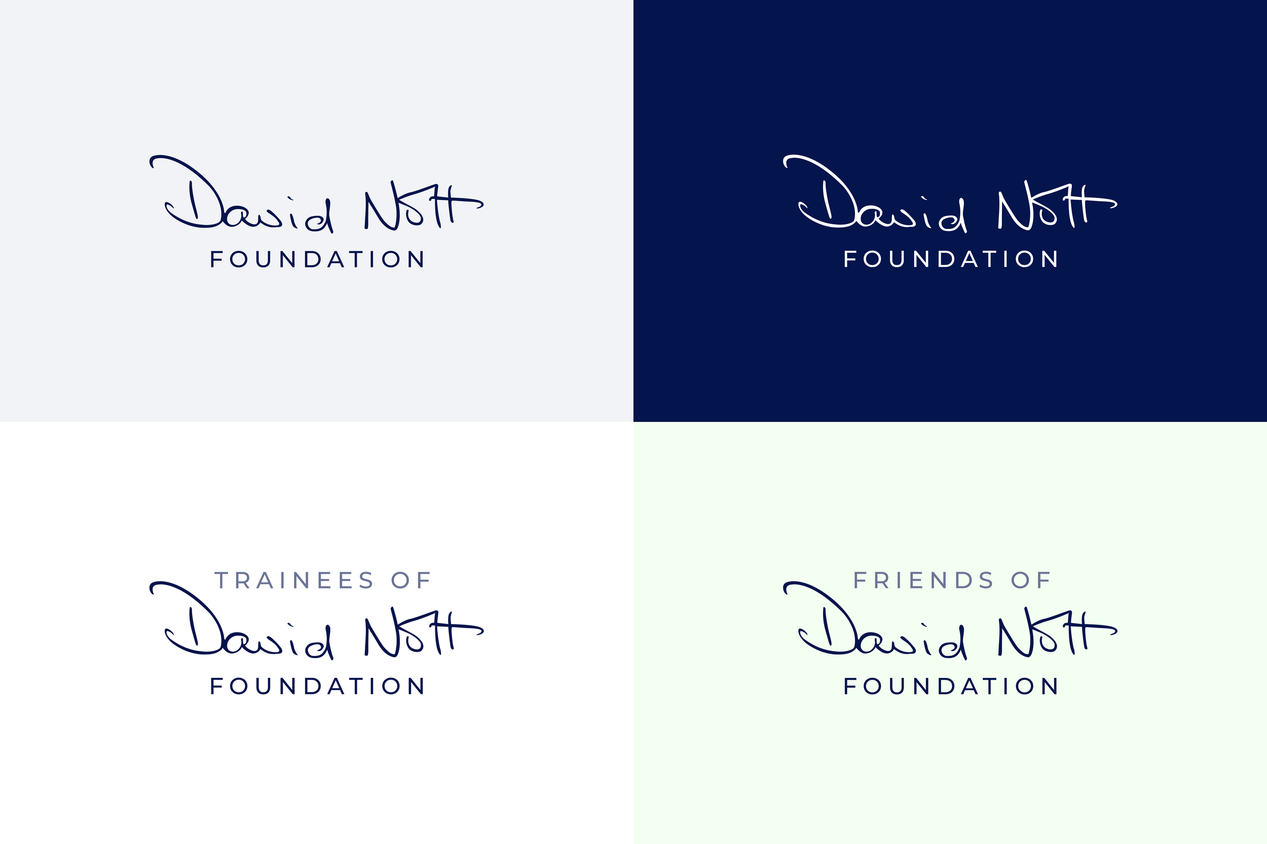 The David Nott Foundation signature logo on grey, navy and pale green, including &lsquo;Trainees of&rsquo; and &lsquo;Friends of&rsquo; versions