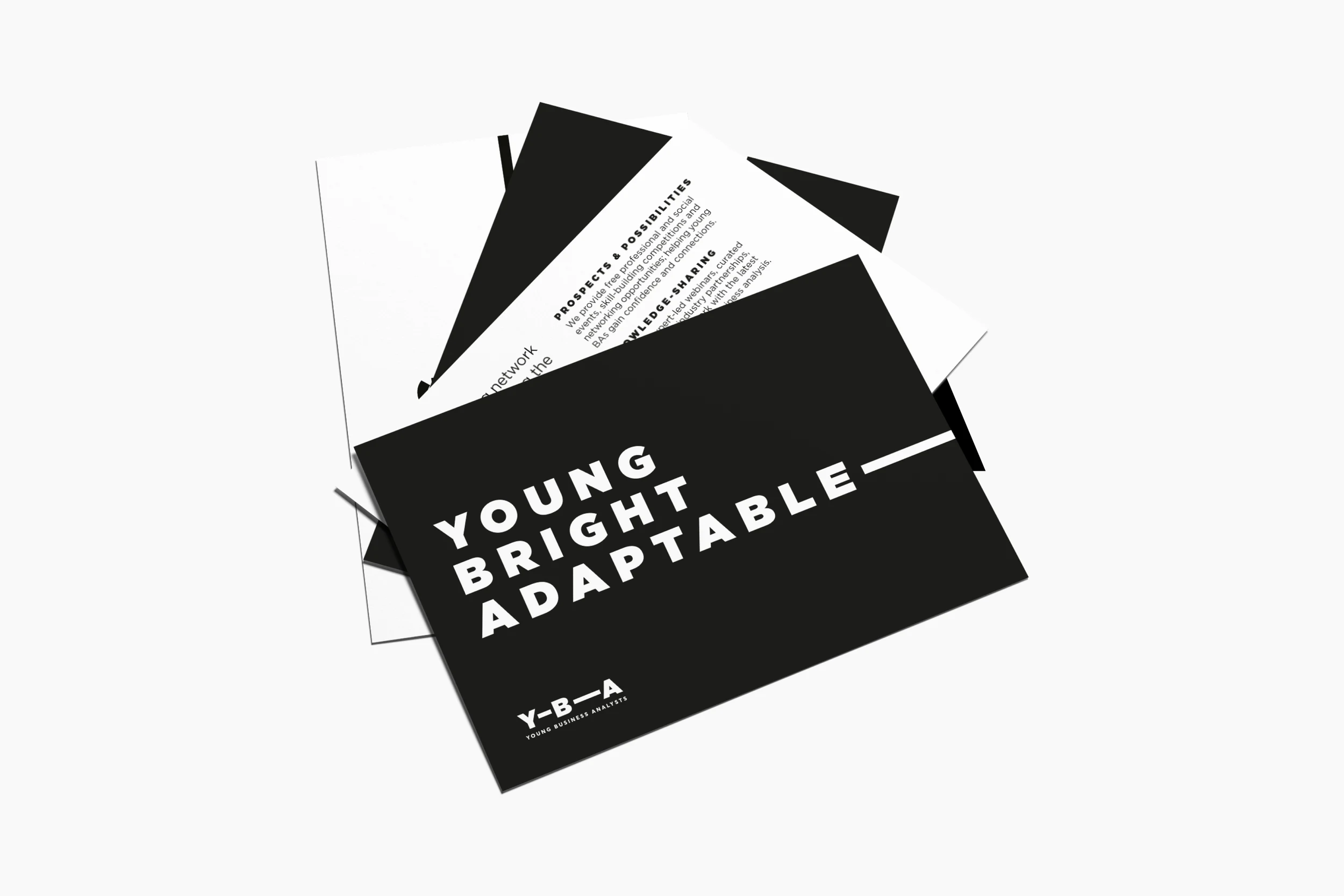 Fanned YBA flyers in black and white: the front reads &lsquo;Young, bright, adaptable&rsquo; with the extending line, and the back describes member benefits